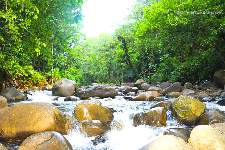 Top Des Excursions En Guadeloupe